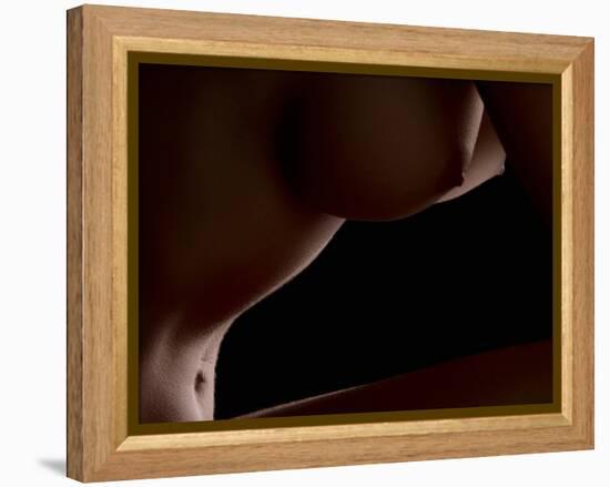 Intimate View-Wunderskatz-Framed Premier Image Canvas