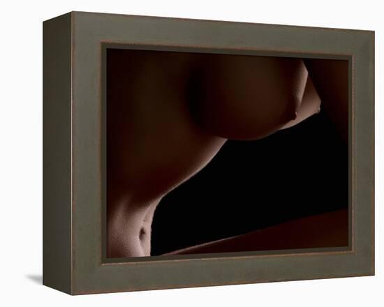 Intimate View-Wunderskatz-Framed Premier Image Canvas