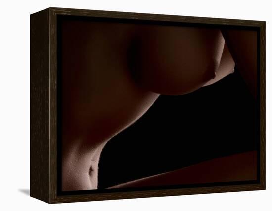 Intimate View-Wunderskatz-Framed Premier Image Canvas