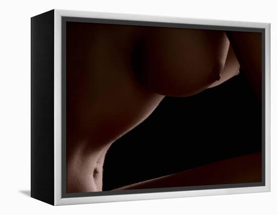 Intimate View-Wunderskatz-Framed Premier Image Canvas