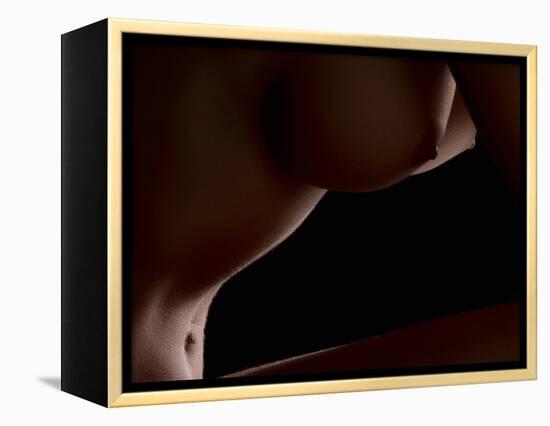 Intimate View-Wunderskatz-Framed Premier Image Canvas