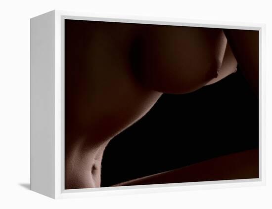 Intimate View-Wunderskatz-Framed Premier Image Canvas