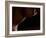 Intimate View-Wunderskatz-Framed Photographic Print