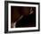 Intimate View-Wunderskatz-Framed Photographic Print