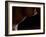 Intimate View-Wunderskatz-Framed Photographic Print