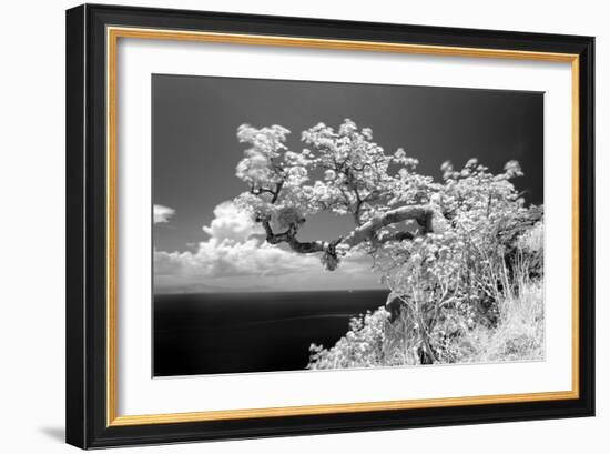 Intimate-Michael de Guzman-Framed Photographic Print