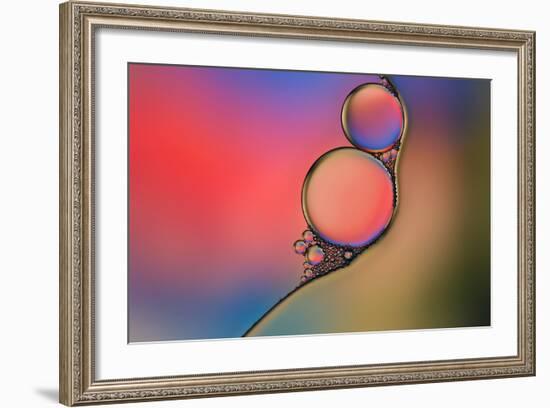 Into Place-Heidi Westum-Framed Photographic Print