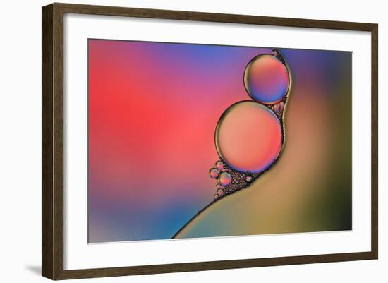 Into Place-Heidi Westum-Framed Photographic Print