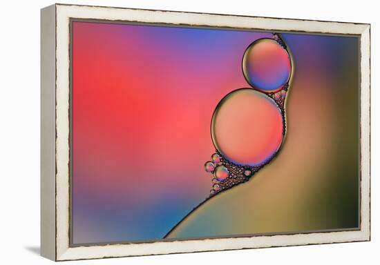 Into Place-Heidi Westum-Framed Premier Image Canvas