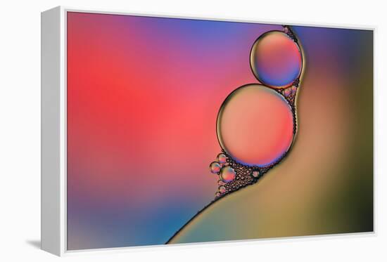 Into Place-Heidi Westum-Framed Premier Image Canvas