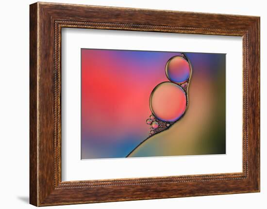 Into Place-Heidi Westum-Framed Photographic Print