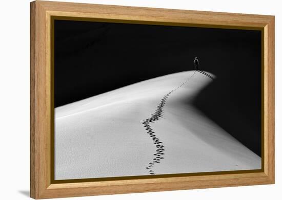 Into the Abyss-Izidor Gasperlin-Framed Premier Image Canvas