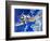 Into the Blue: The High Flyers-Wilf Hardy-Framed Giclee Print