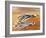 Into the Blue: Thunderbirds-Wilf Hardy-Framed Giclee Print