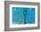 Into the Blue-Doug Chinnery-Framed Photographic Print