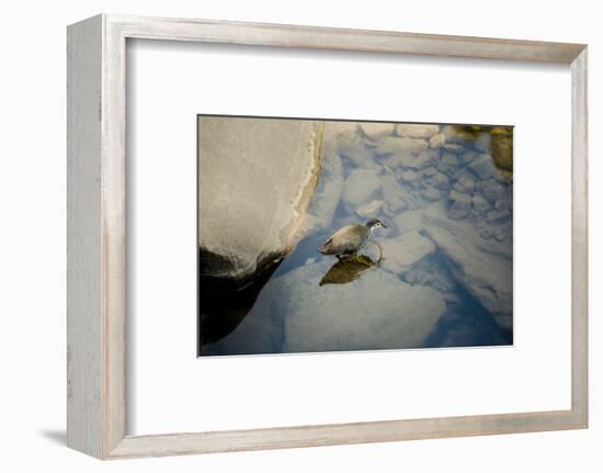 Into the blue-Valda Bailey-Framed Photographic Print