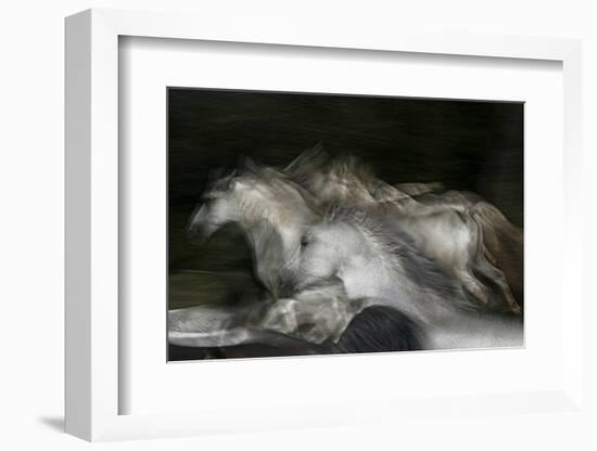 Into the Dark-Milan Malovrh-Framed Photographic Print