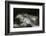 Into the Dark-Milan Malovrh-Framed Photographic Print