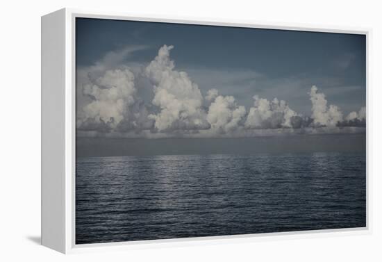 Into the Deep II-Elizabeth Urquhart-Framed Premier Image Canvas