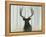 Into the Forest Crop-James Wiens-Framed Stretched Canvas