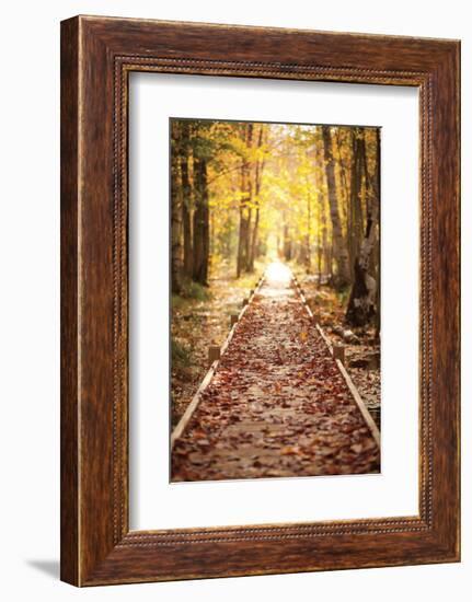 Into the Light-Michael Hudson-Framed Art Print