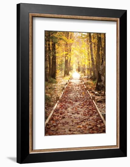 Into the Light-Michael Hudson-Framed Art Print