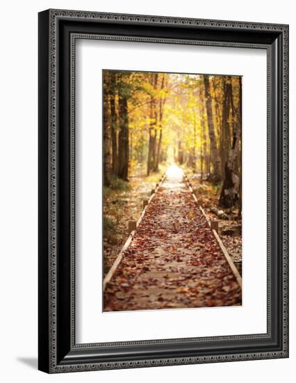 Into the Light-Michael Hudson-Framed Art Print