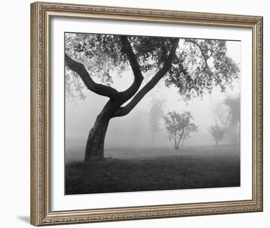 Into the Mist-Monte Nagler-Framed Art Print
