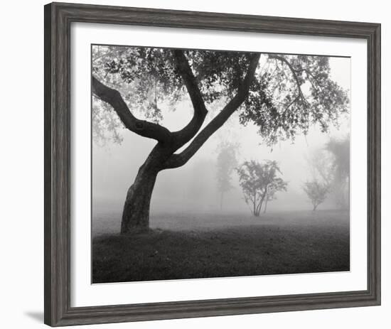 Into the Mist-Monte Nagler-Framed Art Print