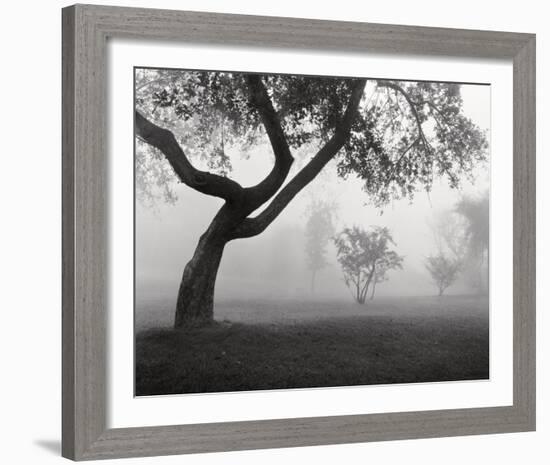 Into the Mist-Monte Nagler-Framed Art Print