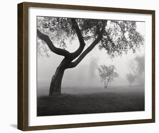 Into the Mist-Monte Nagler-Framed Art Print