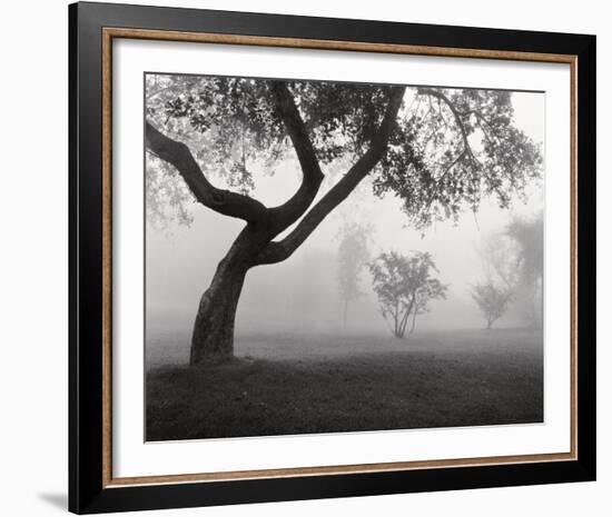 Into the Mist-Monte Nagler-Framed Art Print