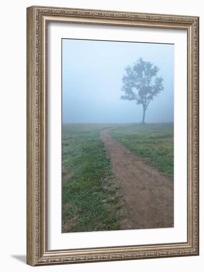 Into The Mist-Steve Gadomski-Framed Photographic Print