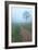 Into The Mist-Steve Gadomski-Framed Photographic Print