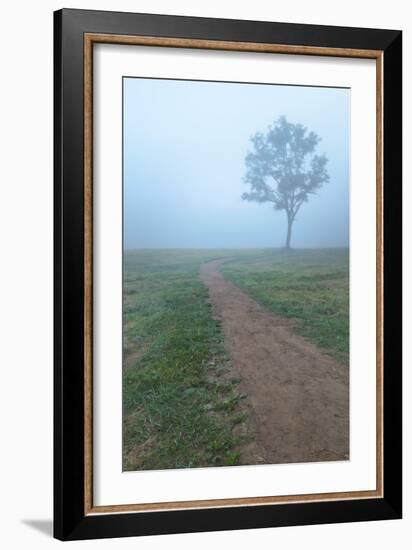 Into The Mist-Steve Gadomski-Framed Photographic Print