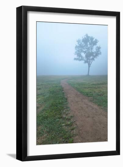Into The Mist-Steve Gadomski-Framed Photographic Print