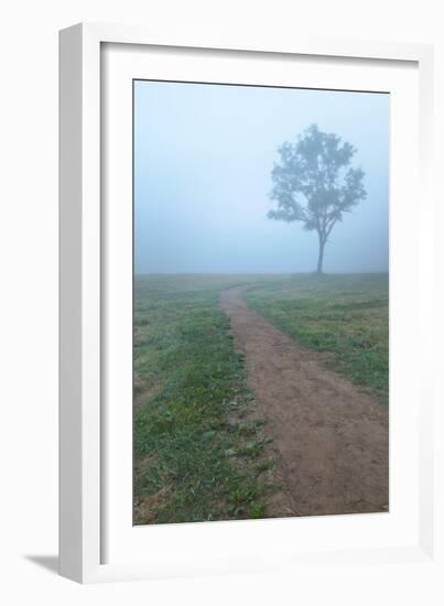 Into The Mist-Steve Gadomski-Framed Photographic Print