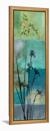 Into the Mystic II-Chris Donovan-Framed Stretched Canvas