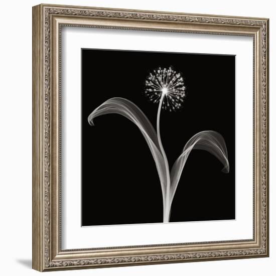 Into the Night I-Jim Wehtje-Framed Giclee Print