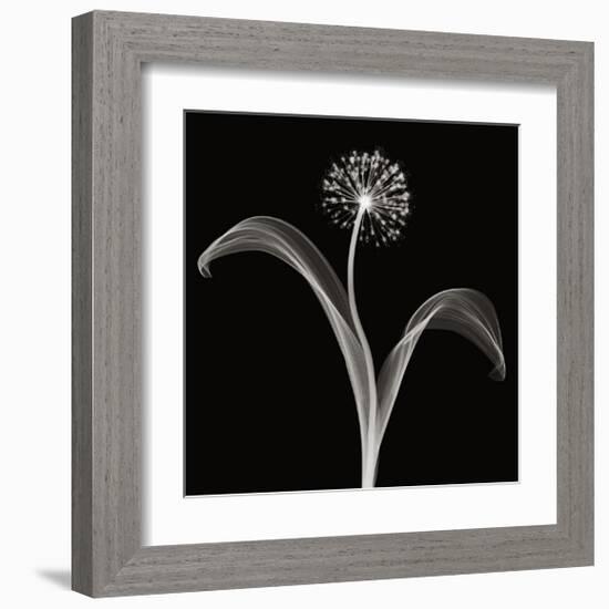 Into the Night I-Jim Wehtje-Framed Giclee Print