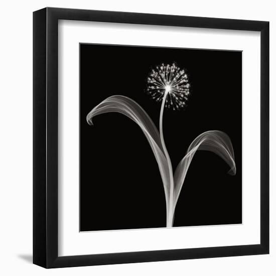 Into the Night I-Jim Wehtje-Framed Giclee Print