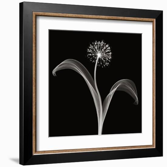 Into the Night I-Jim Wehtje-Framed Giclee Print