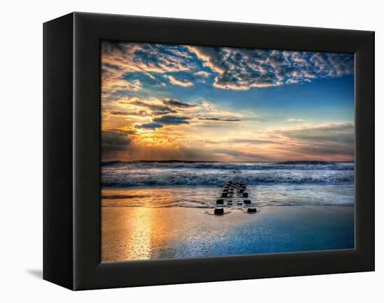 Into the Sea-Natalie Mikaels-Framed Premier Image Canvas