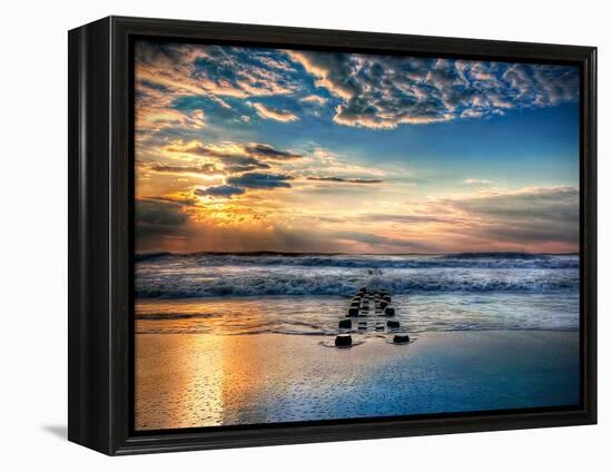 Into the Sea-Natalie Mikaels-Framed Premier Image Canvas