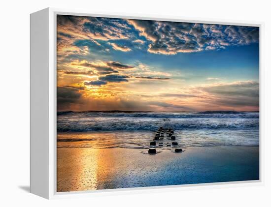 Into the Sea-Natalie Mikaels-Framed Premier Image Canvas