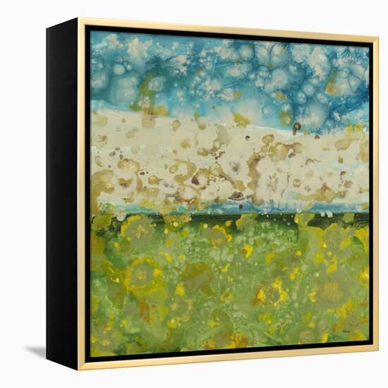 Into the Sky-Randy Hibberd-Framed Stretched Canvas