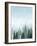 Into the Trees II-Grace Popp-Framed Premium Giclee Print