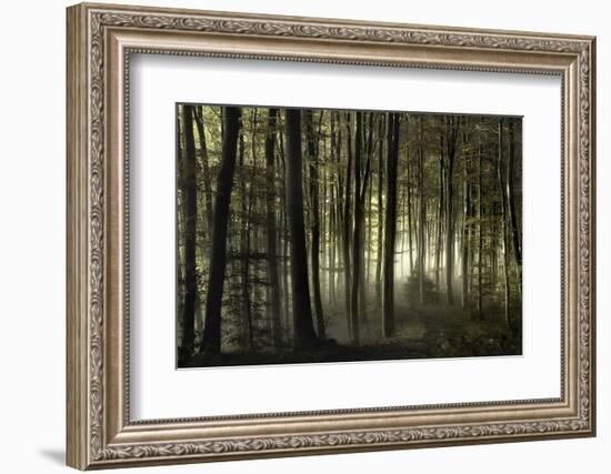 into the unknown-Norbert Maier-Framed Photographic Print