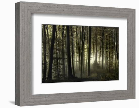 into the unknown-Norbert Maier-Framed Photographic Print