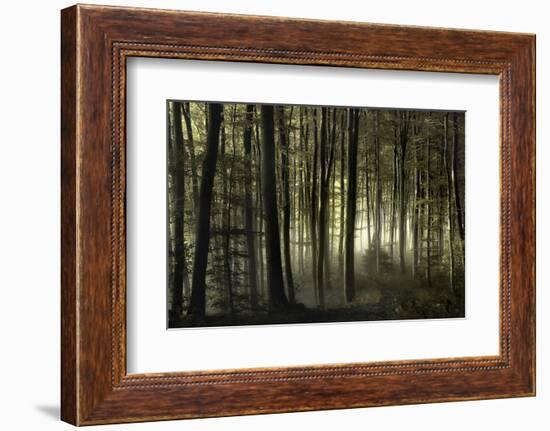 into the unknown-Norbert Maier-Framed Photographic Print